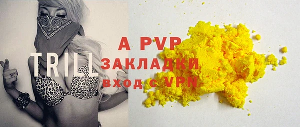 гидра Гатчина
