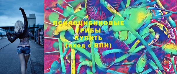 круглые Осинники
