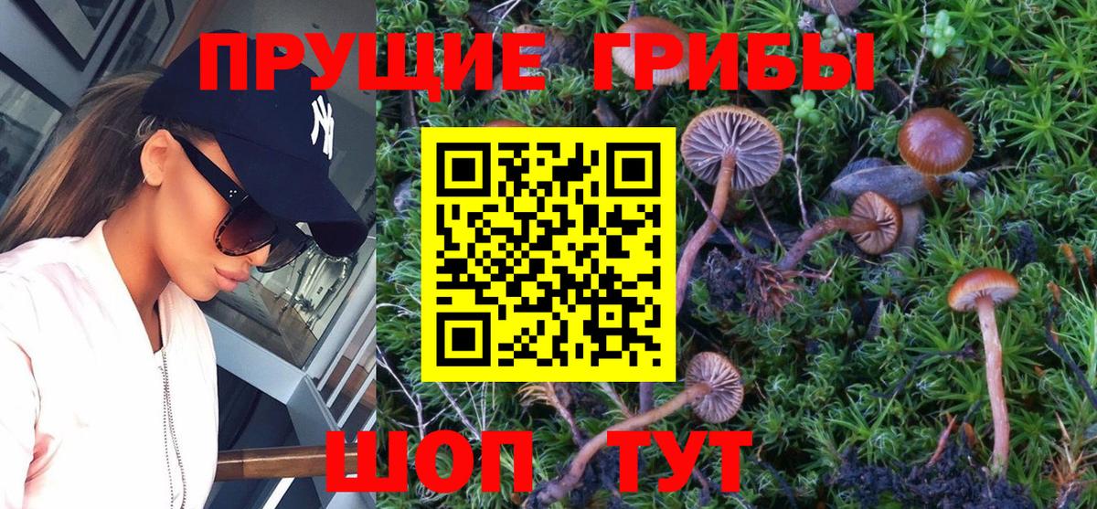Галлюциногенные грибы GOLDEN TEACHER Краснотурьинск