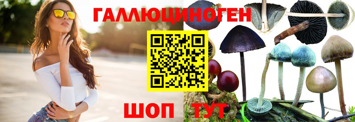 Alpha PVP Краснотурьинск