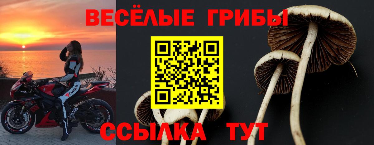 Псилоцибиновые грибы Psilocybine cubensis  Краснотурьинск 